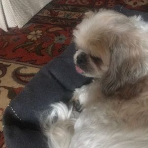 Meet your Posher, Mary martha